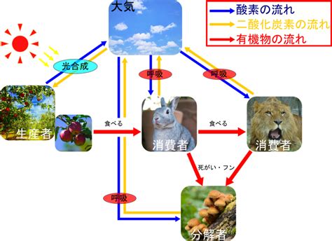 物質界|物質